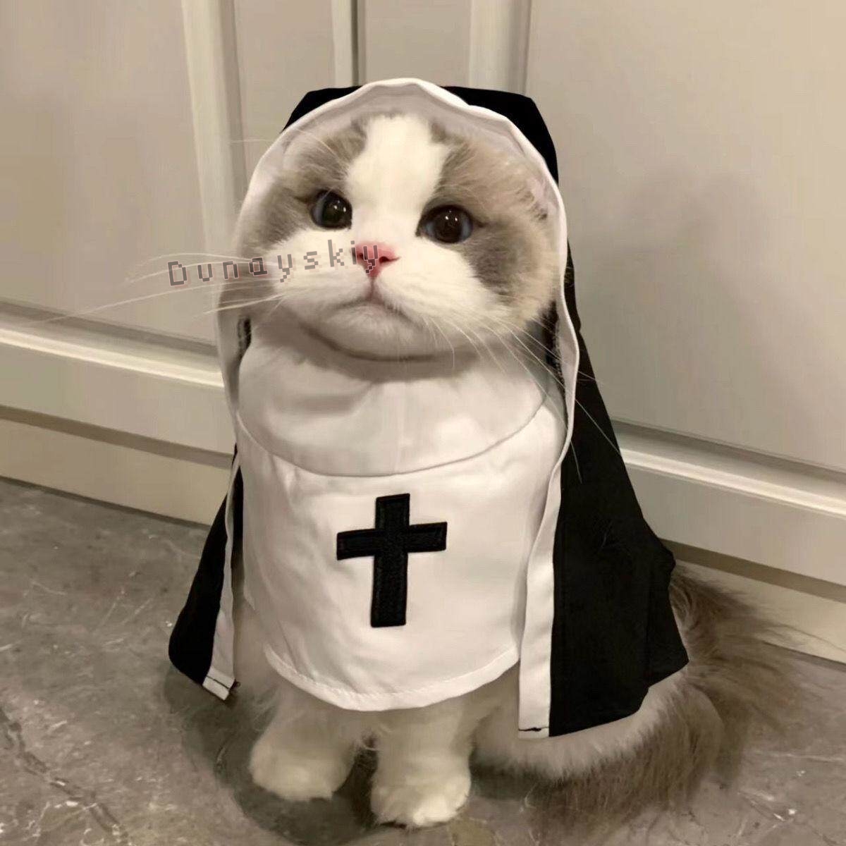 Anime Cosplay Nun - Christmas Pet Dog Cat Cosplay Costume