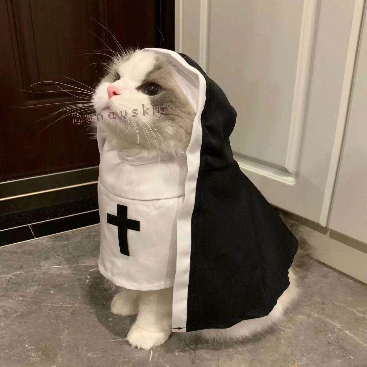 Christmas Pet Dog Cat Cosplay  - огляд і ціна Anime Cosplay Nun