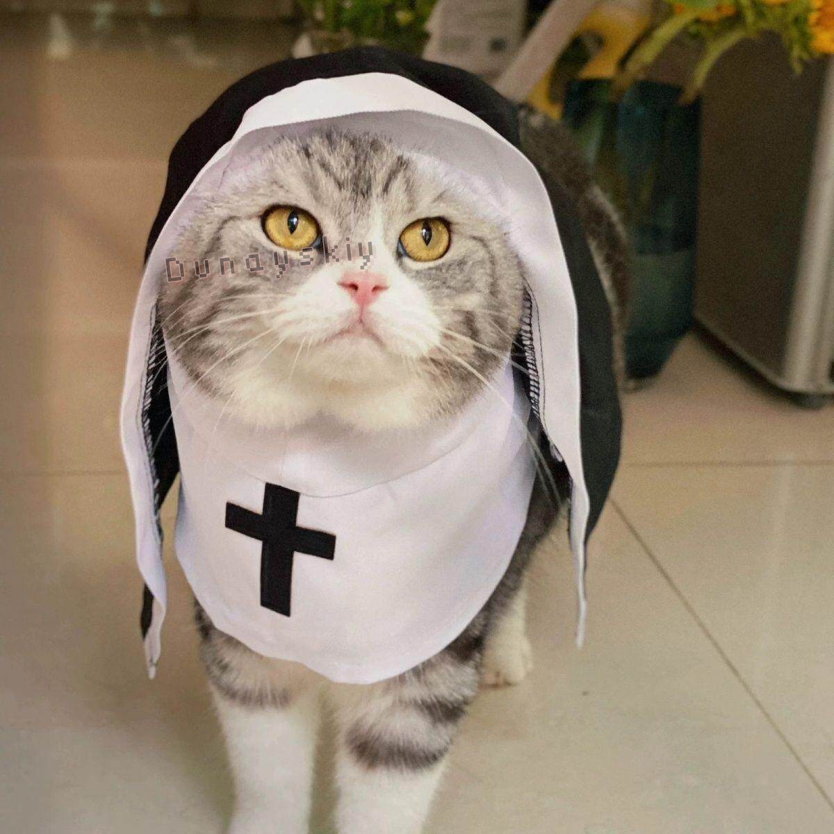 Christmas Pet Dog Cat Cosplay  - огляд і ціна Anime Cosplay Nun