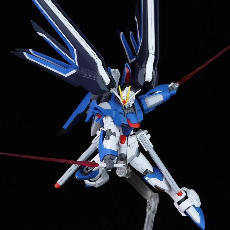 HG STTS-909 Rising Freedom Gun - огляд і ціна Bandai Gundam Hg