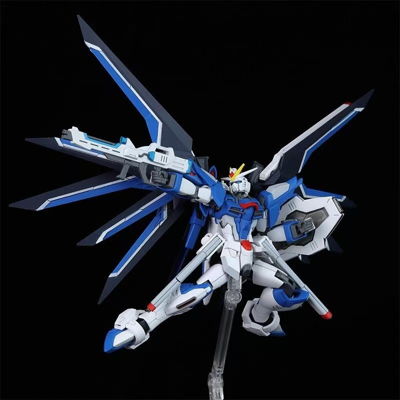 HG STTS-909 Rising Freedom Gun - огляд і ціна Bandai Gundam Hg