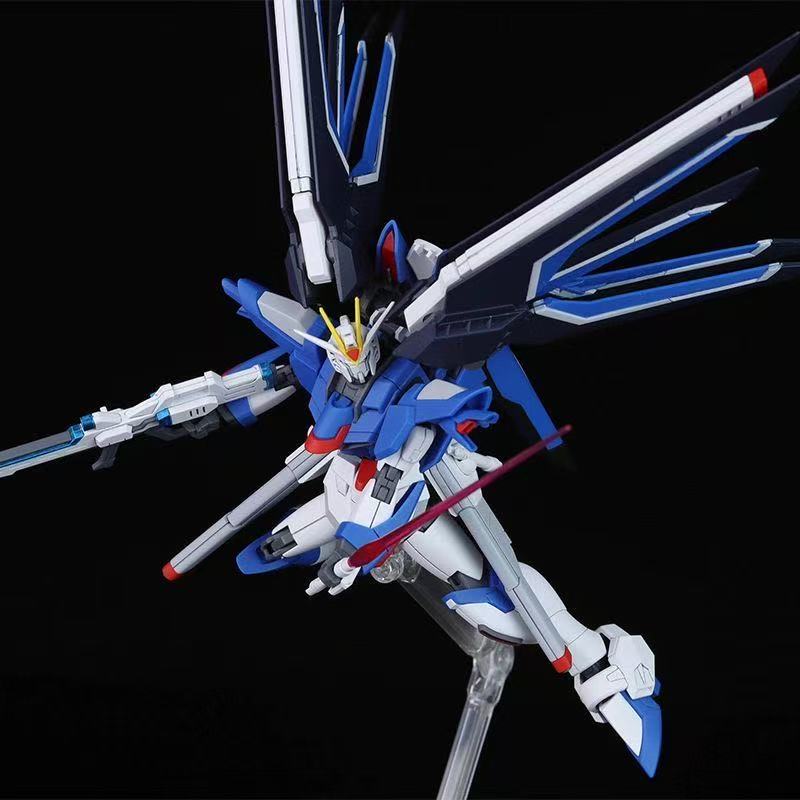 HG STTS-909 Rising Freedom Gun - огляд і ціна Bandai Gundam Hg